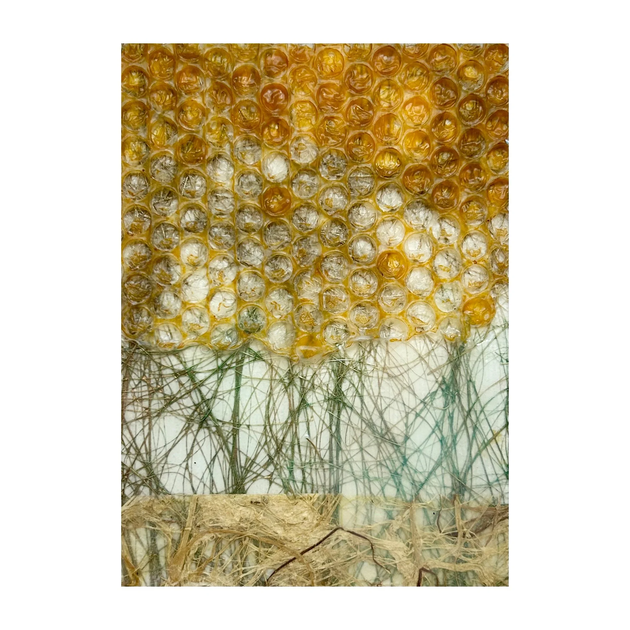 "Memories of Honey from Hives on Generational Lands" - 7" x 5" x 1.5"