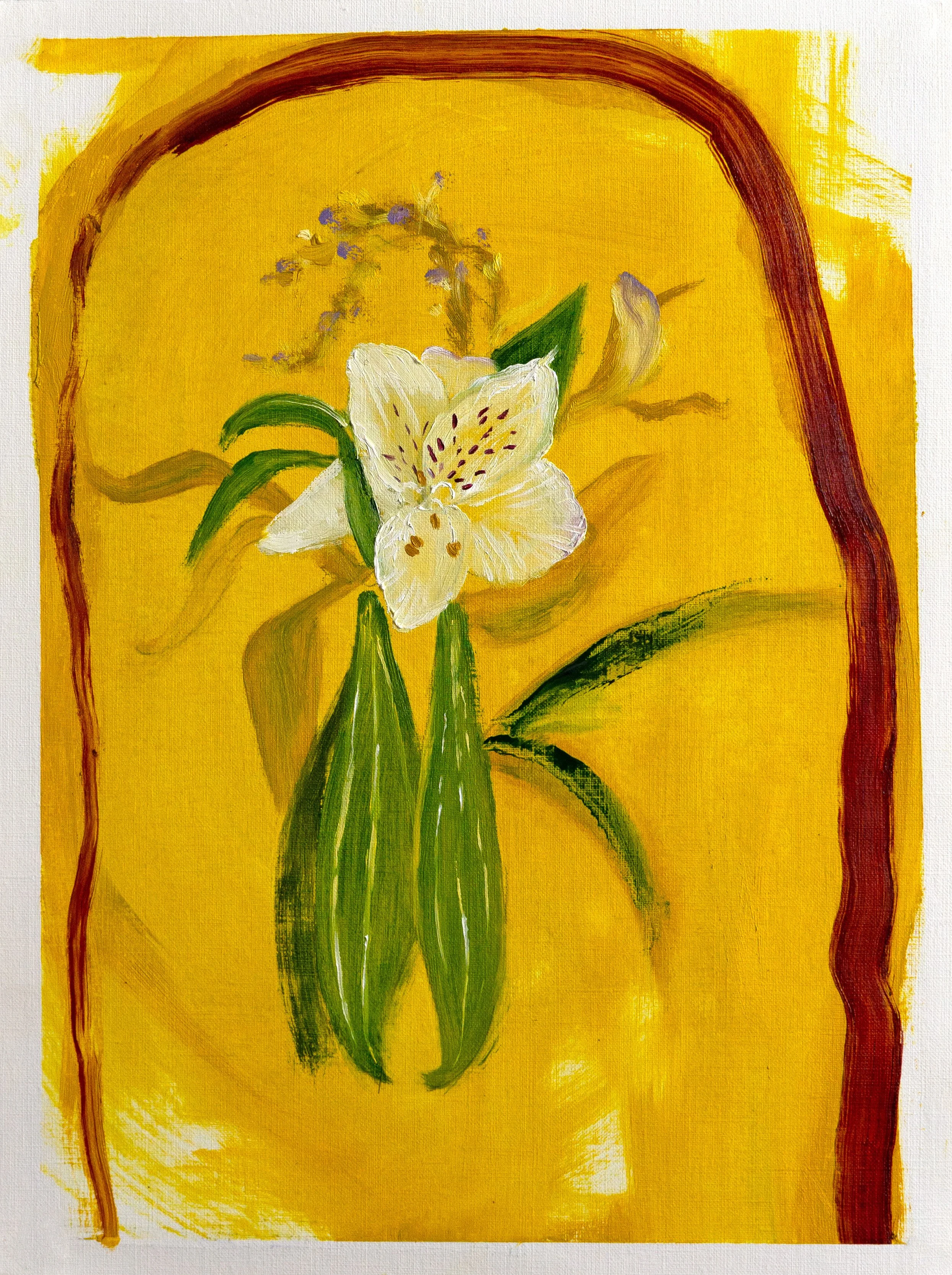 Peruvian Lilly