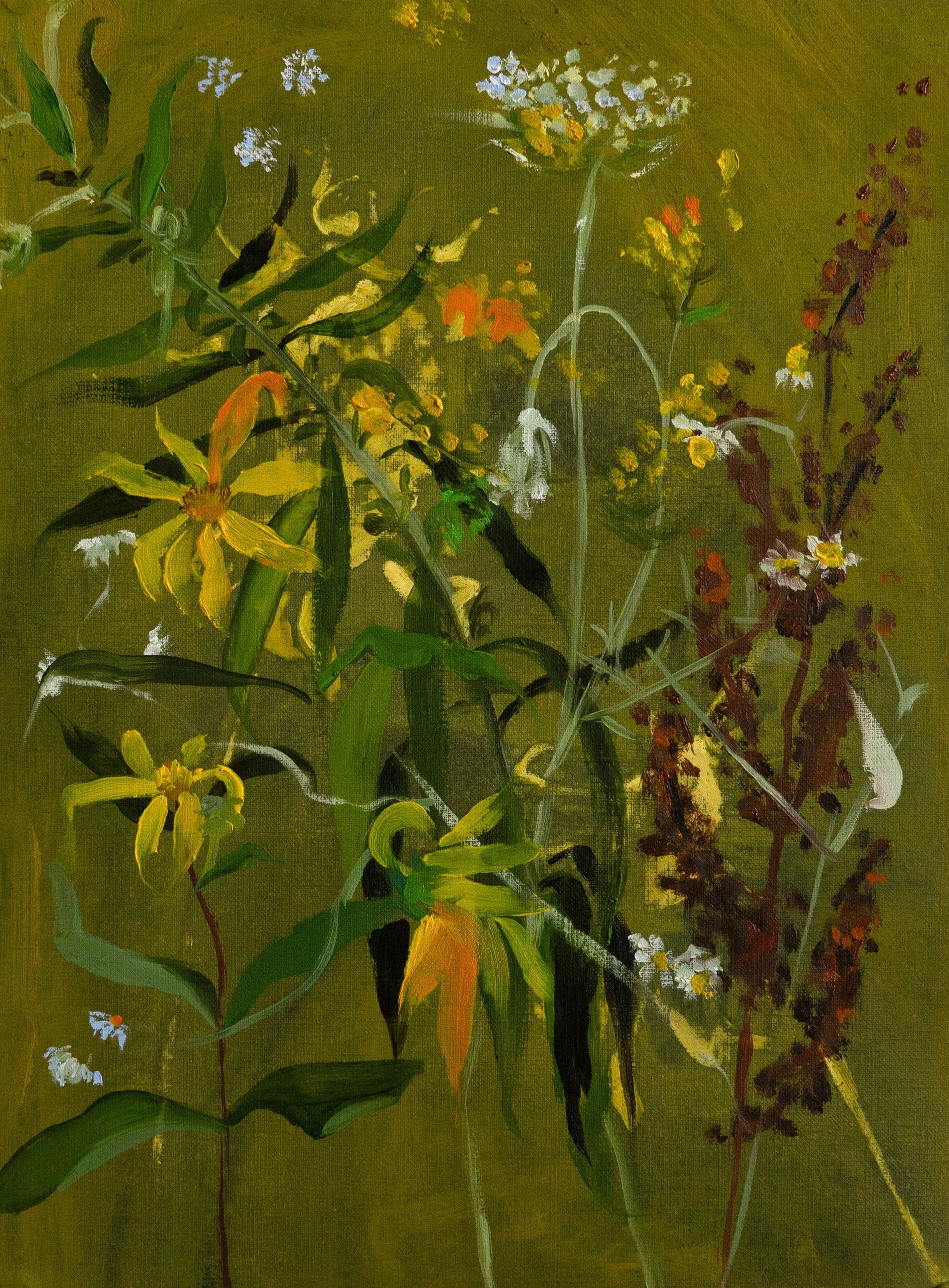 High Park Wildflowers