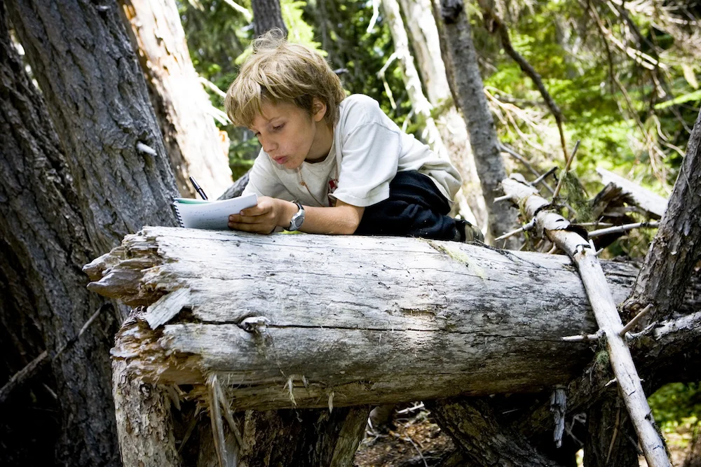 Participants enjoy Nature Sit-Spots and Journaling activities.