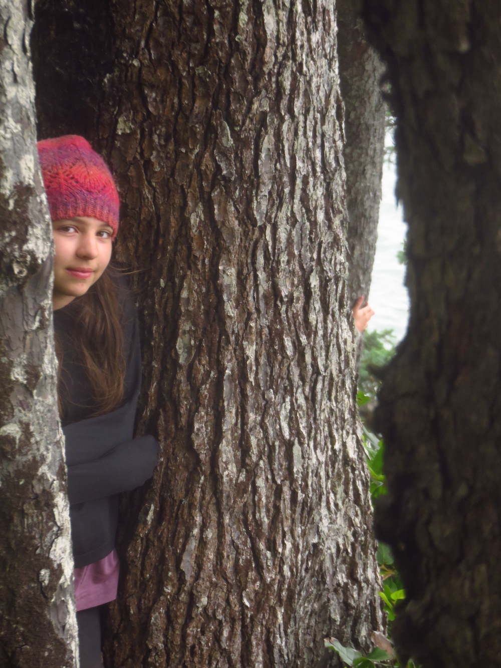 Participants engage in heart-centered conversation, art, song, reflective activity, ritual and an 8-hour solo in the woods.