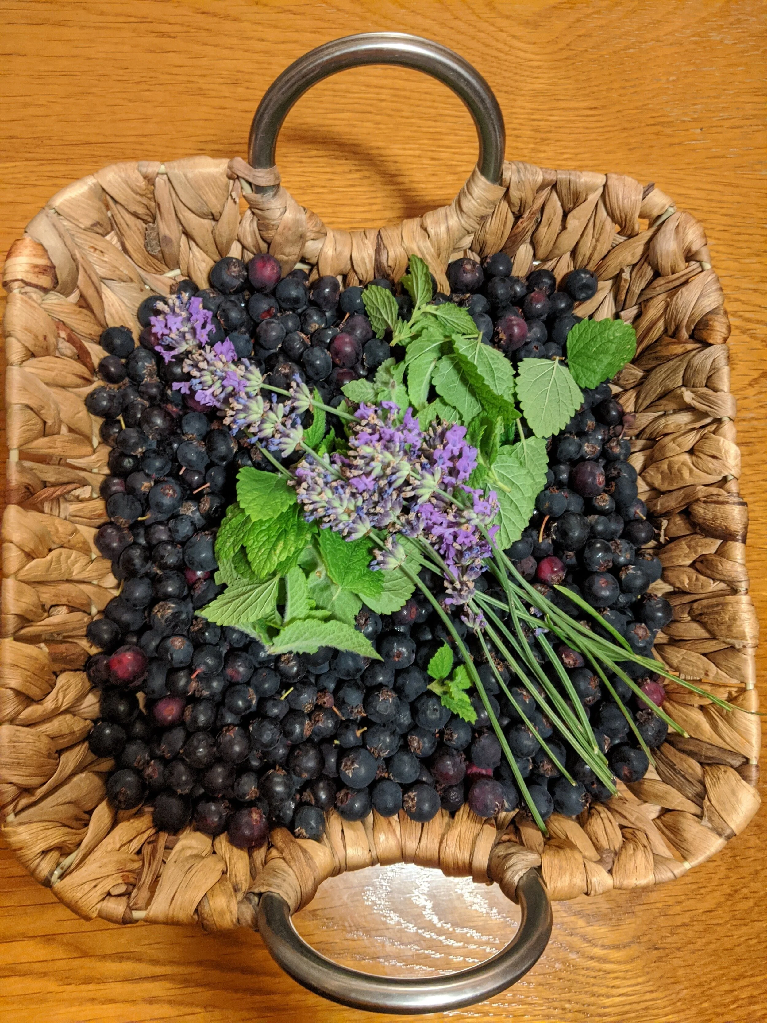 Meeting Our Herbal Allies