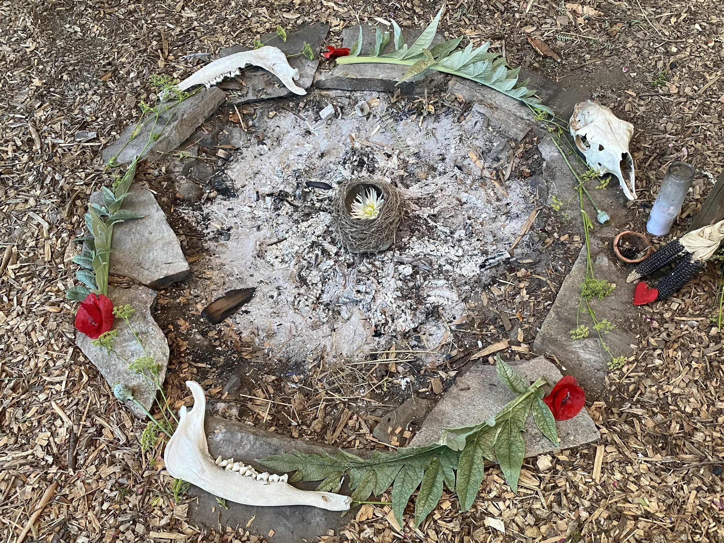 Fall 2025 Song Circle & Council Evening