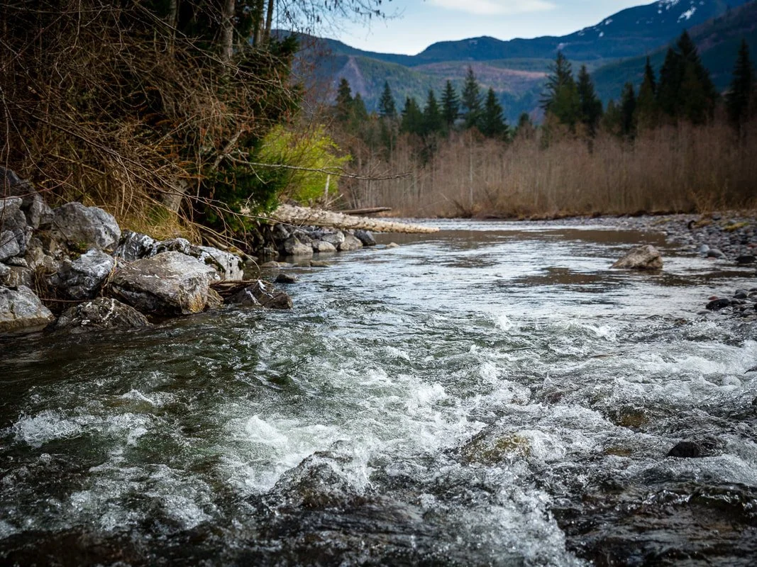 river root farm river pic.jpg
