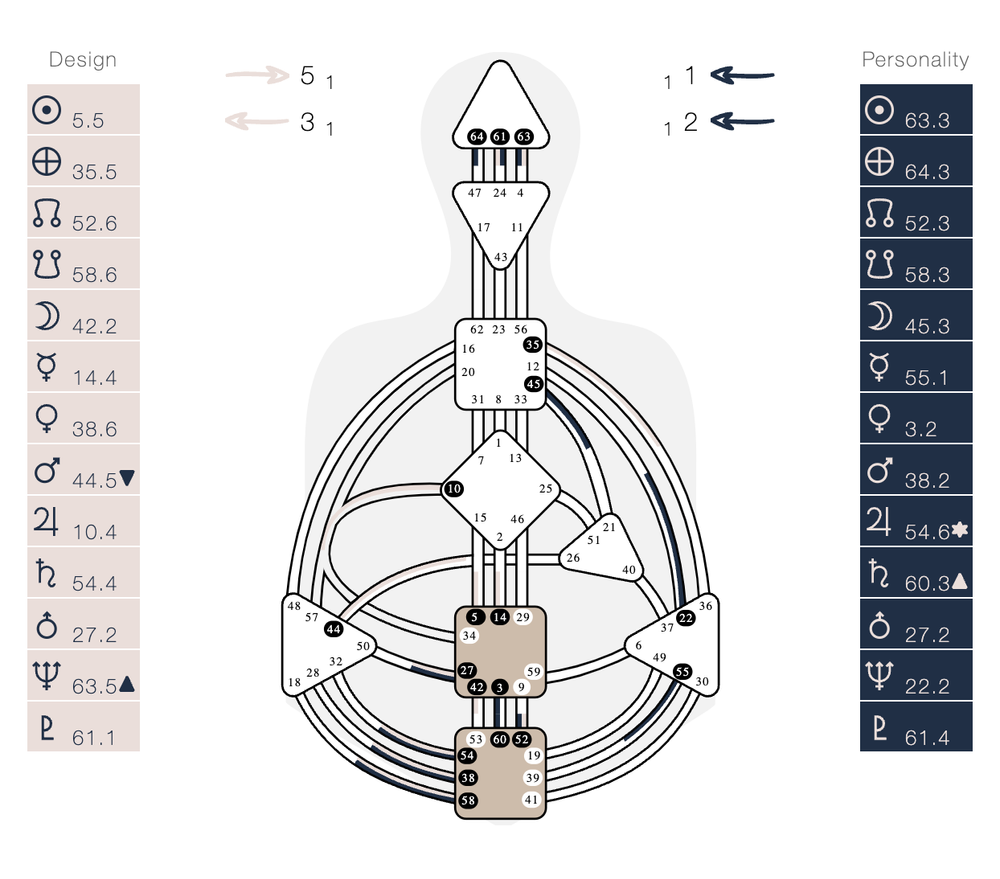 What is Human Design — Melissa Holistic