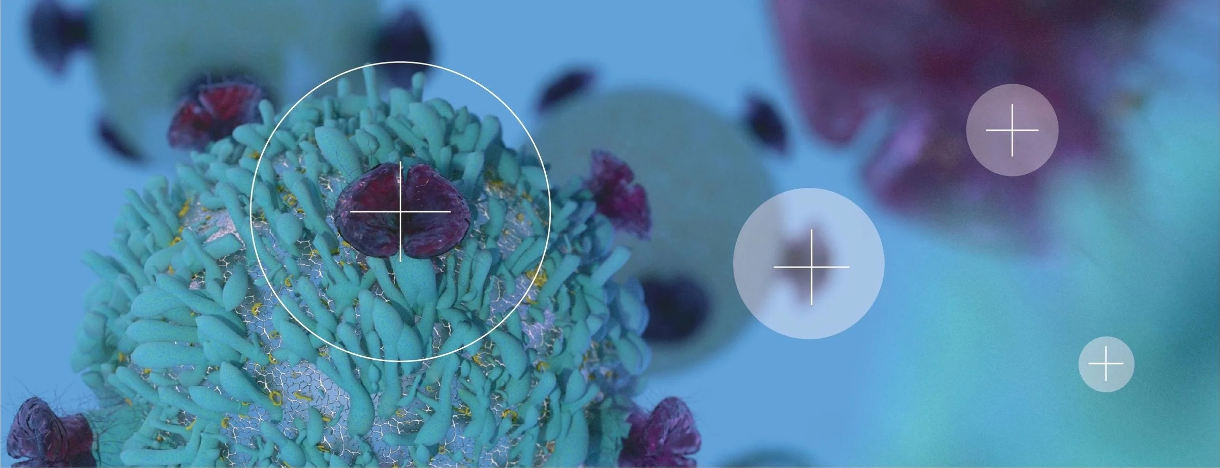 Neoantigen-based cancer immunotherapy: One step closer to the promise of personalized medicine