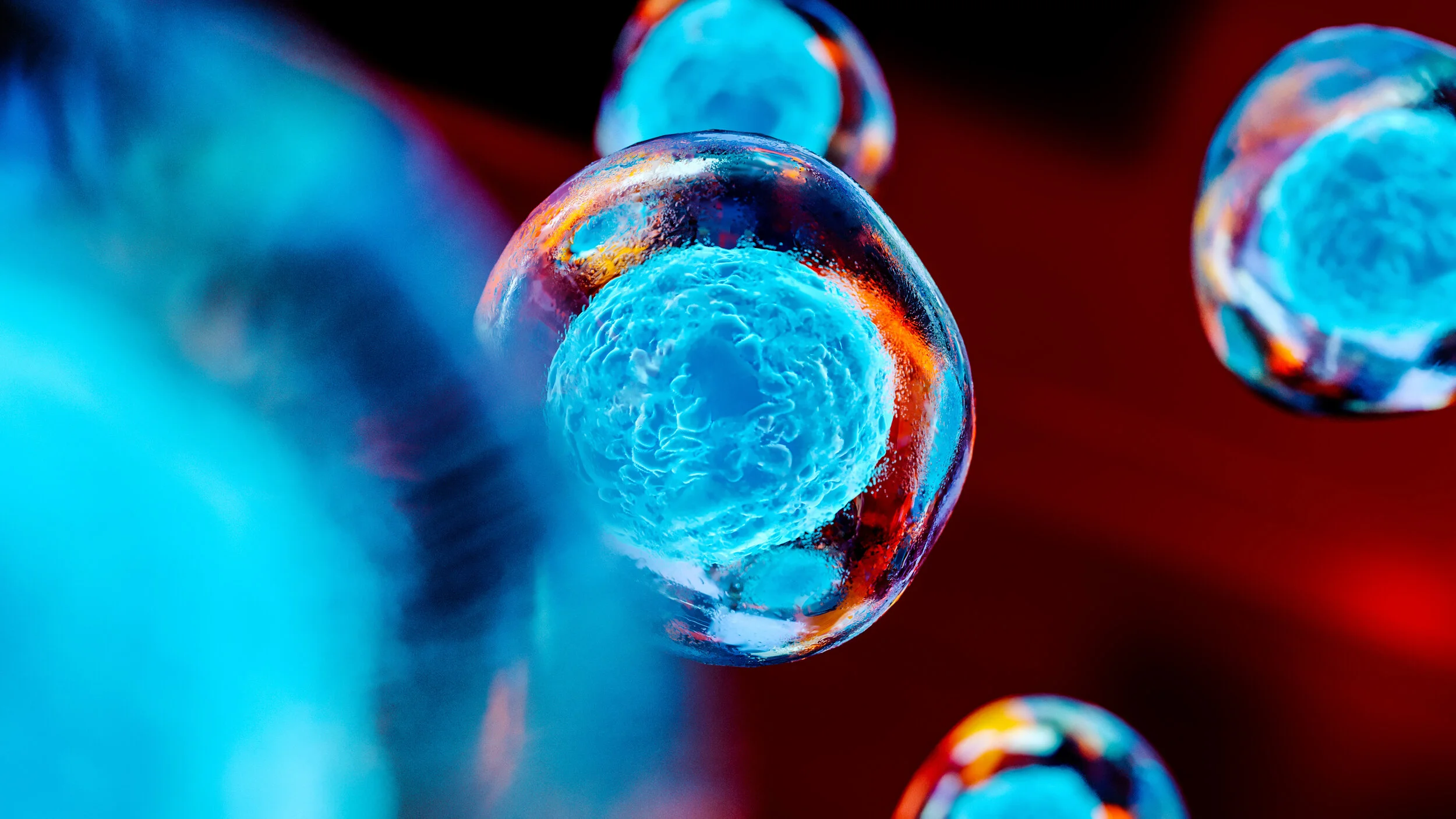 AdobeStock_238507503.jpeg