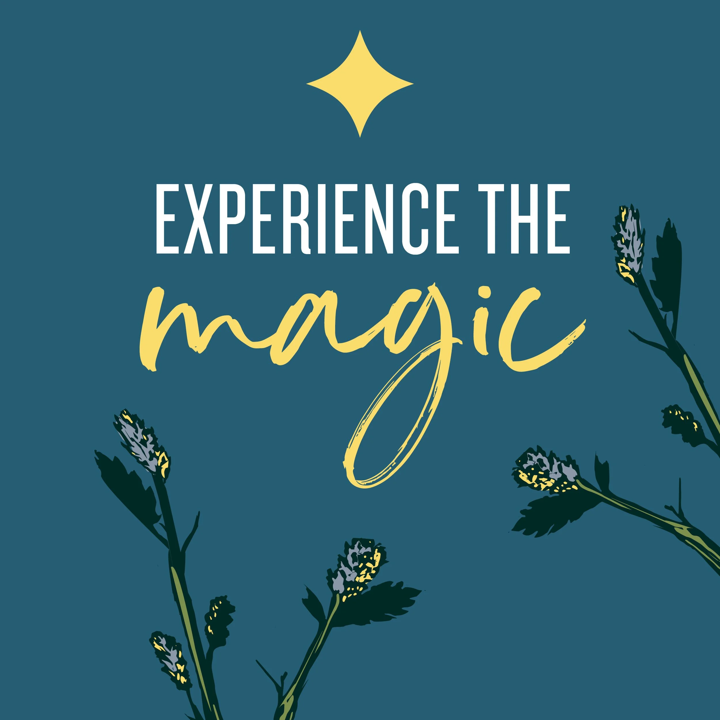 CSC-Campfire Under Stars-Social Graphics-20267.jpg