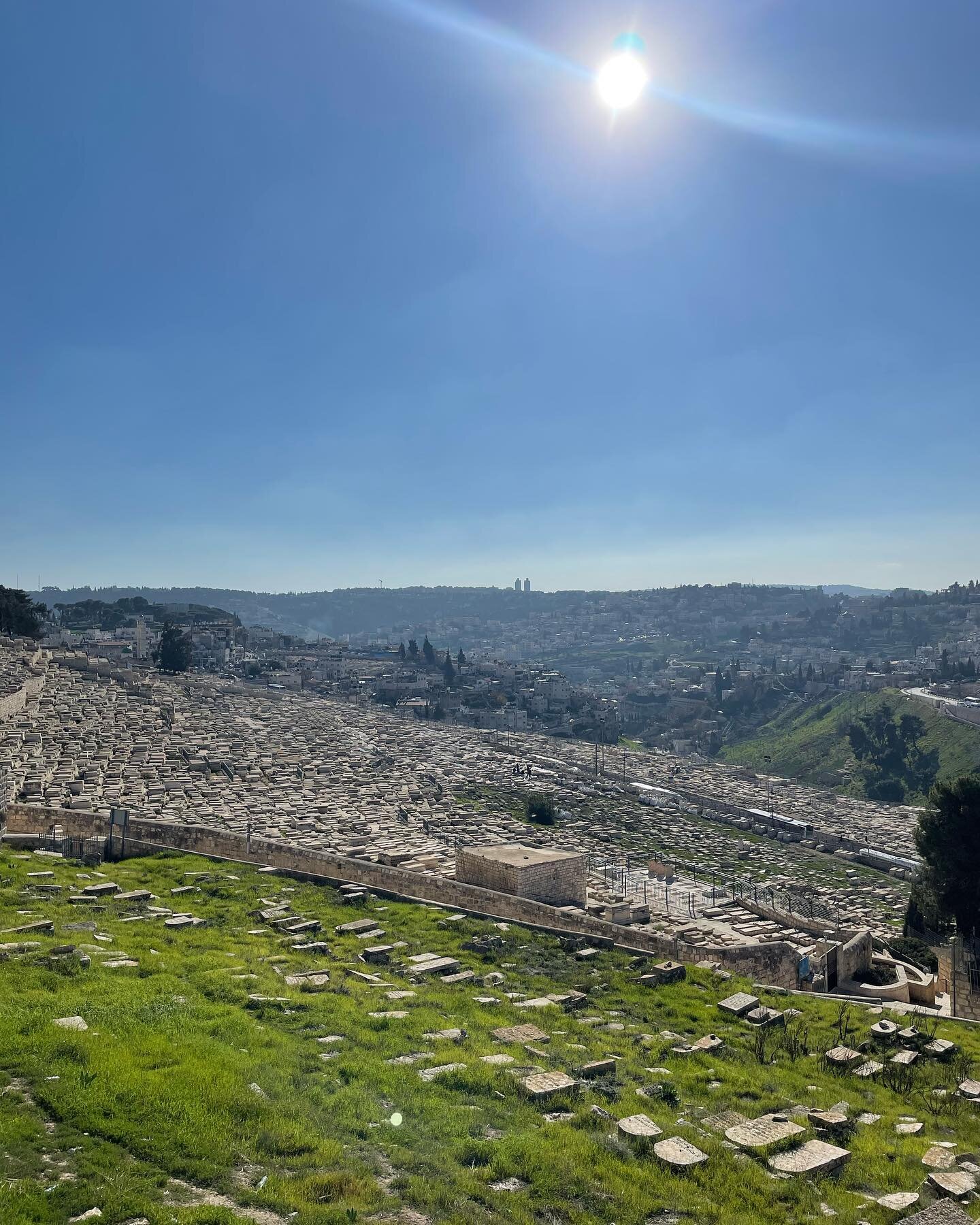 Sounds of the Holy Land episode photo album: part 2.
As you listen to episode 207, these are the pictures that go with the last 12 sounds. @nterfa @chanofthewoods @eliastourstheholyland
