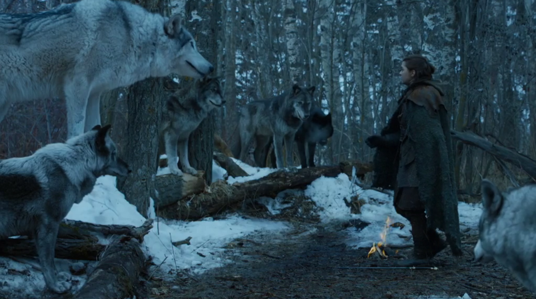Fierce-Females-of-Westeros-Game-of-Thrones-Stormborn-Arya-and-Nymeria-1.png