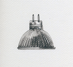 Bulbs Shape Your Light: Part I