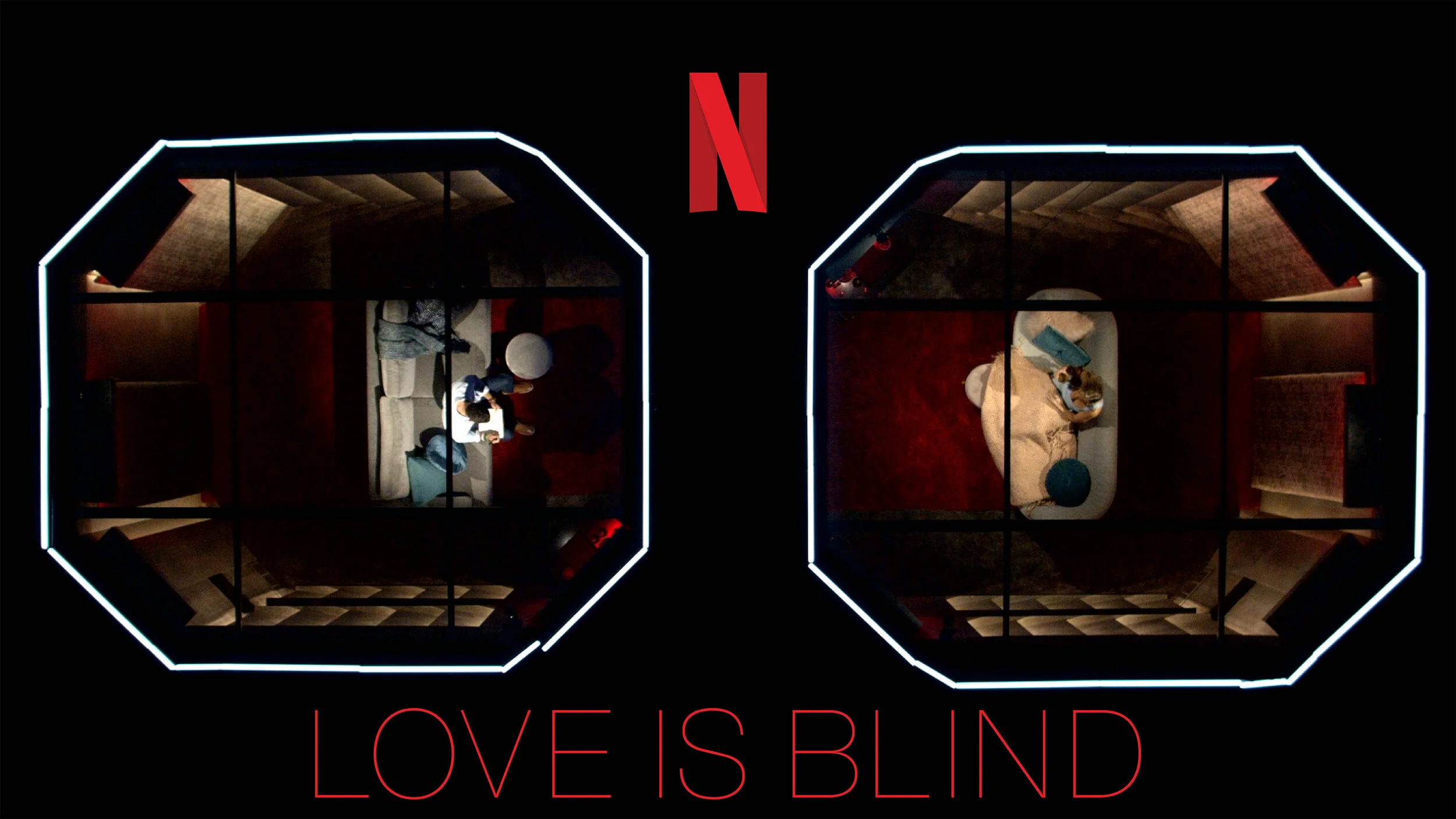 THE-BRNDHAUS-PL-ZEN™-Chicago-Love-Is-Blind-Netflix.jpg