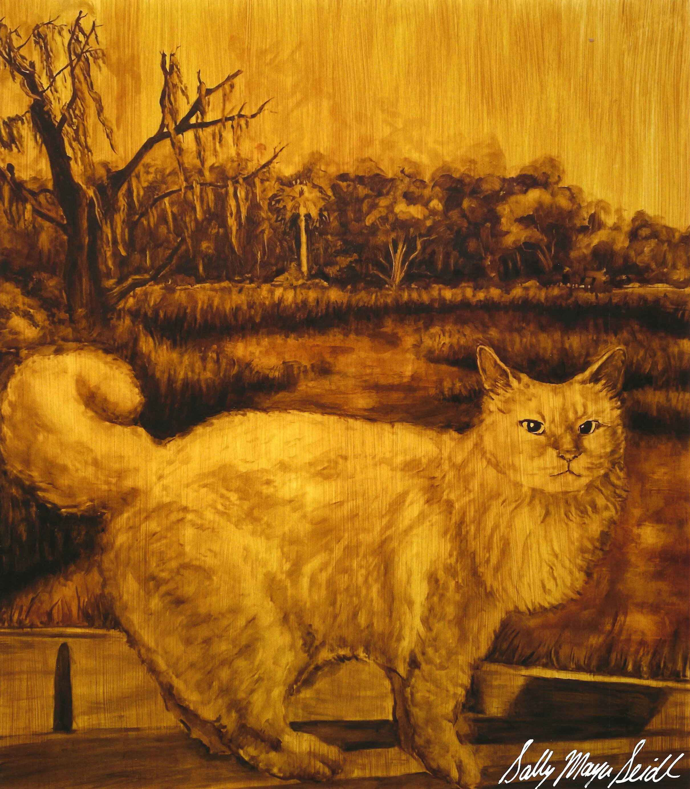 “Swamp Cat” archival print
