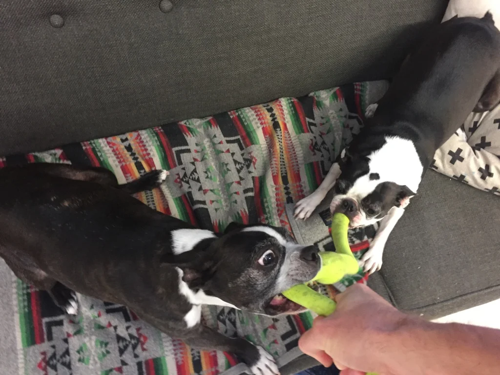 Georgetown Design Tour 2018