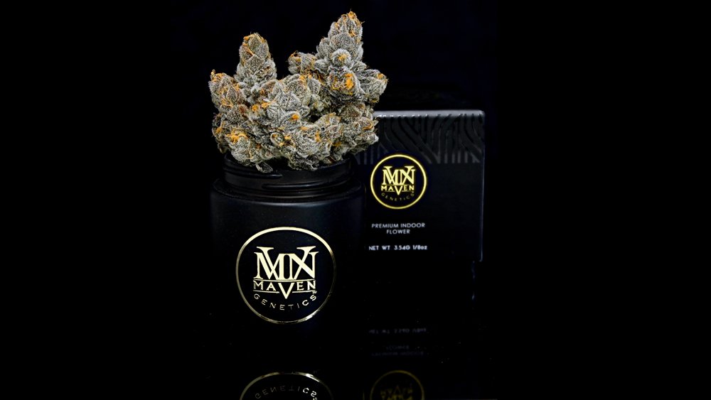 BLUE LOTUS — MAVEN GENETICS