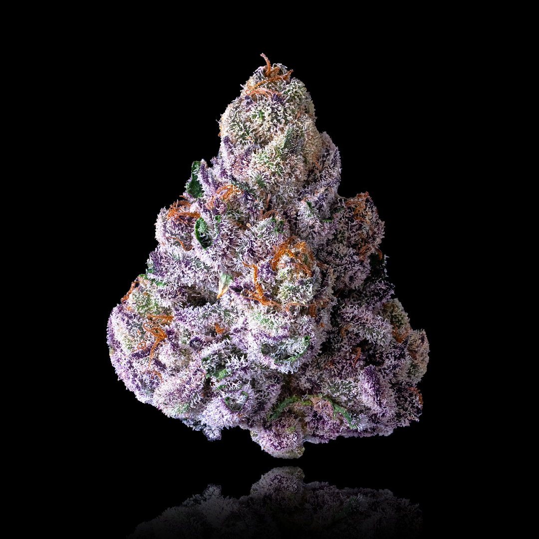 98 Reserve: Tradition Meets Modernity