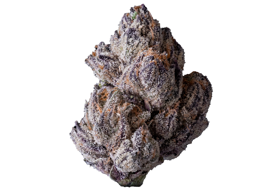 Copy-of-Lipsmackerz-#4_6-web.png