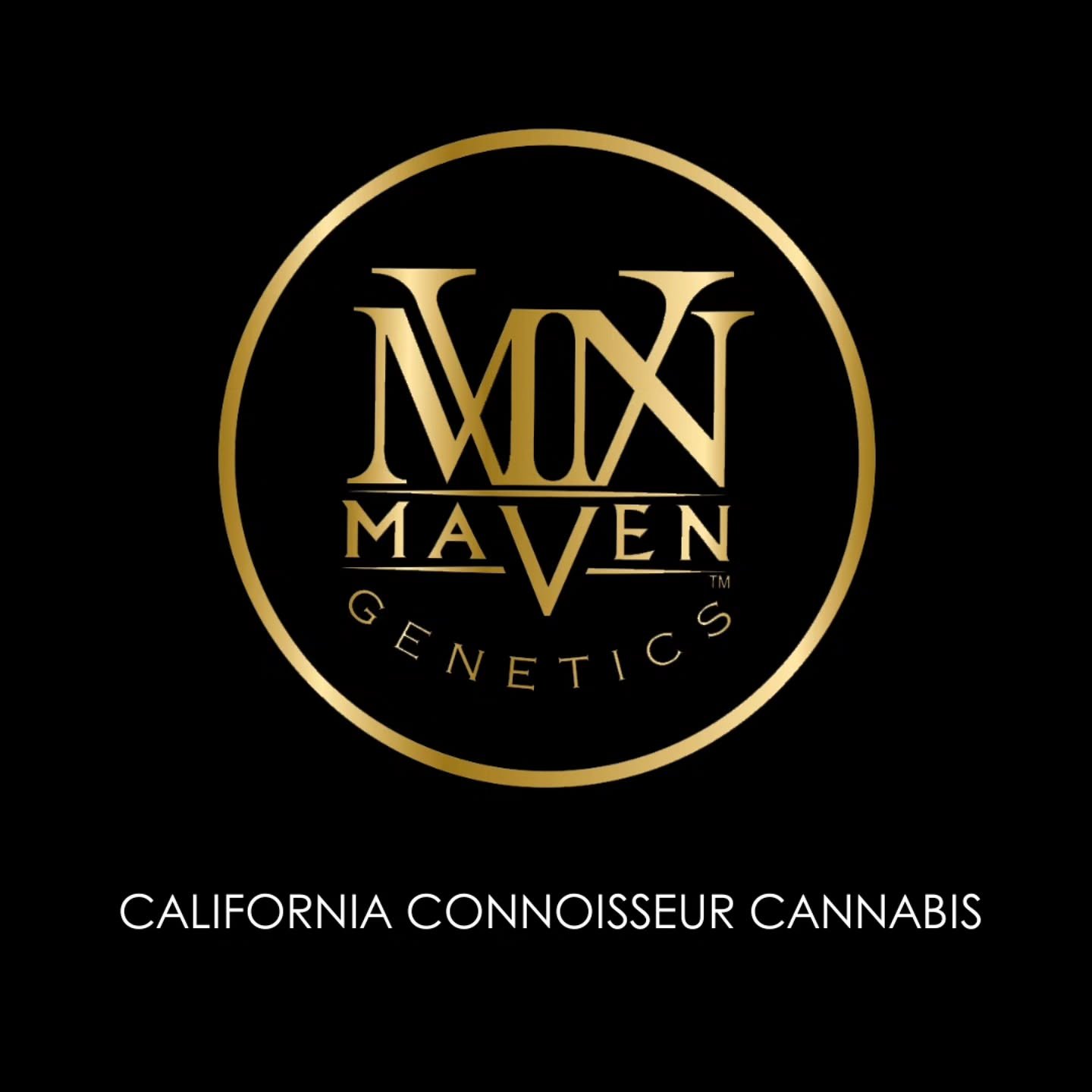 Maven Genetics was founded with one goal: to breed and cultivate indoor exotic c*bis of the highest caliber. 

From seed to sale, we're driven by an absolute passion for the flower and are dedicated to sparking innovation and craftsmanship at every s