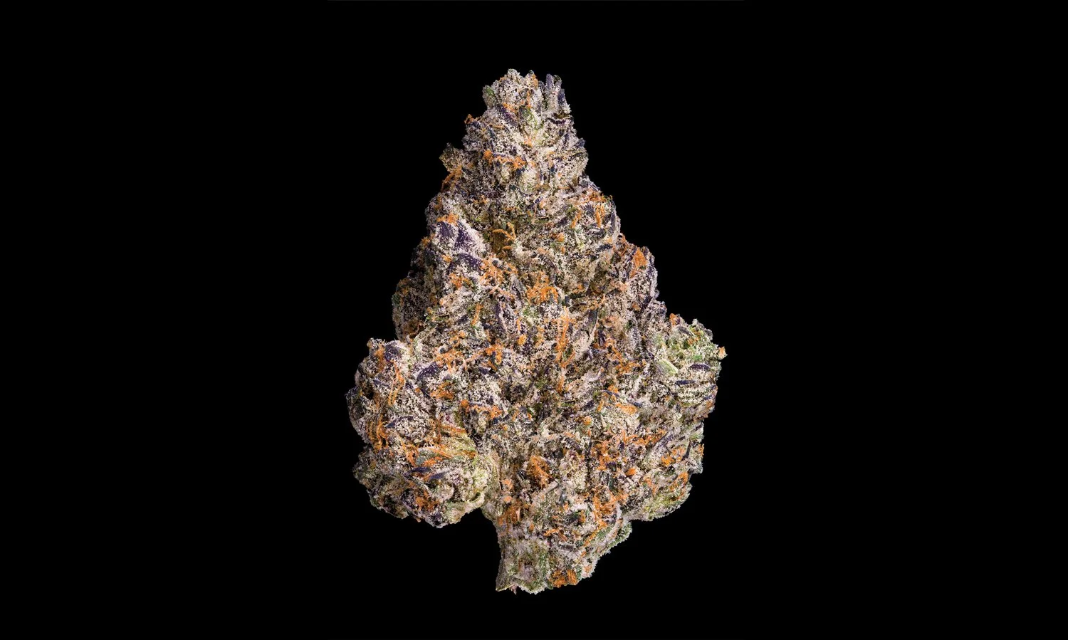 CHROMA-FULL-NUG-BLK-TALL-25-Inset.jpg