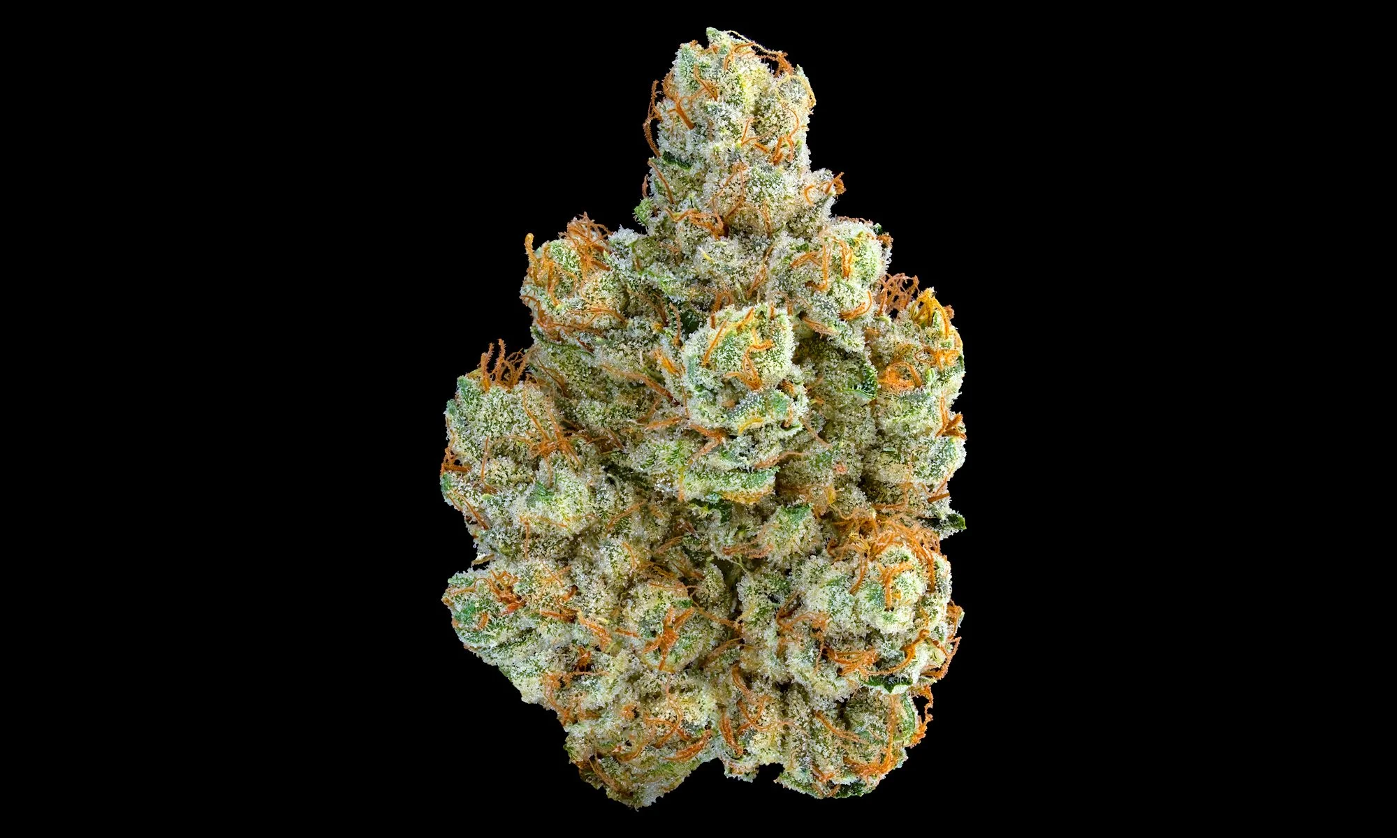 SFV-OG-FULL-NUG-(New)-25-inset1500px.jpg