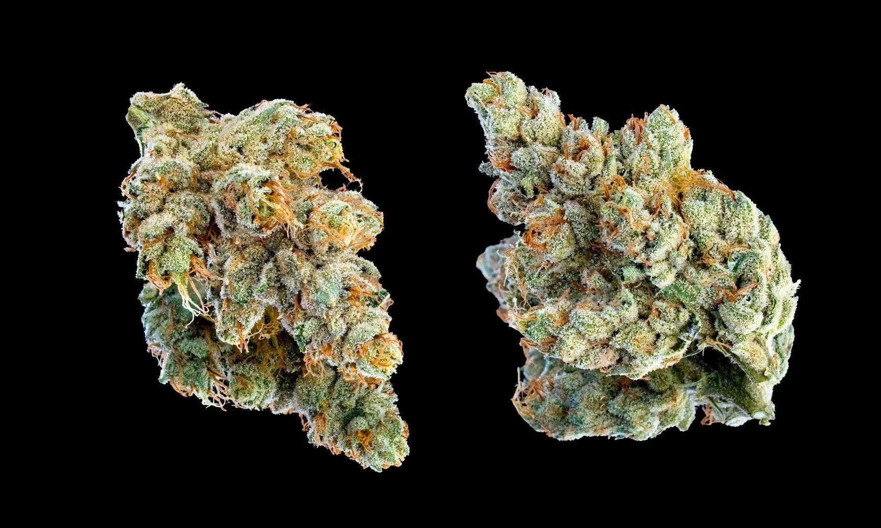 SFV-OG-DBL-NUGS-#2-BLK-25-inset1500px.jpg