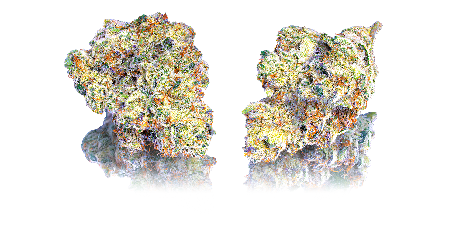 Pineapple-Biscotti-DOUBLE-NUGS-#1-TRANS-SQ-1500inset.png