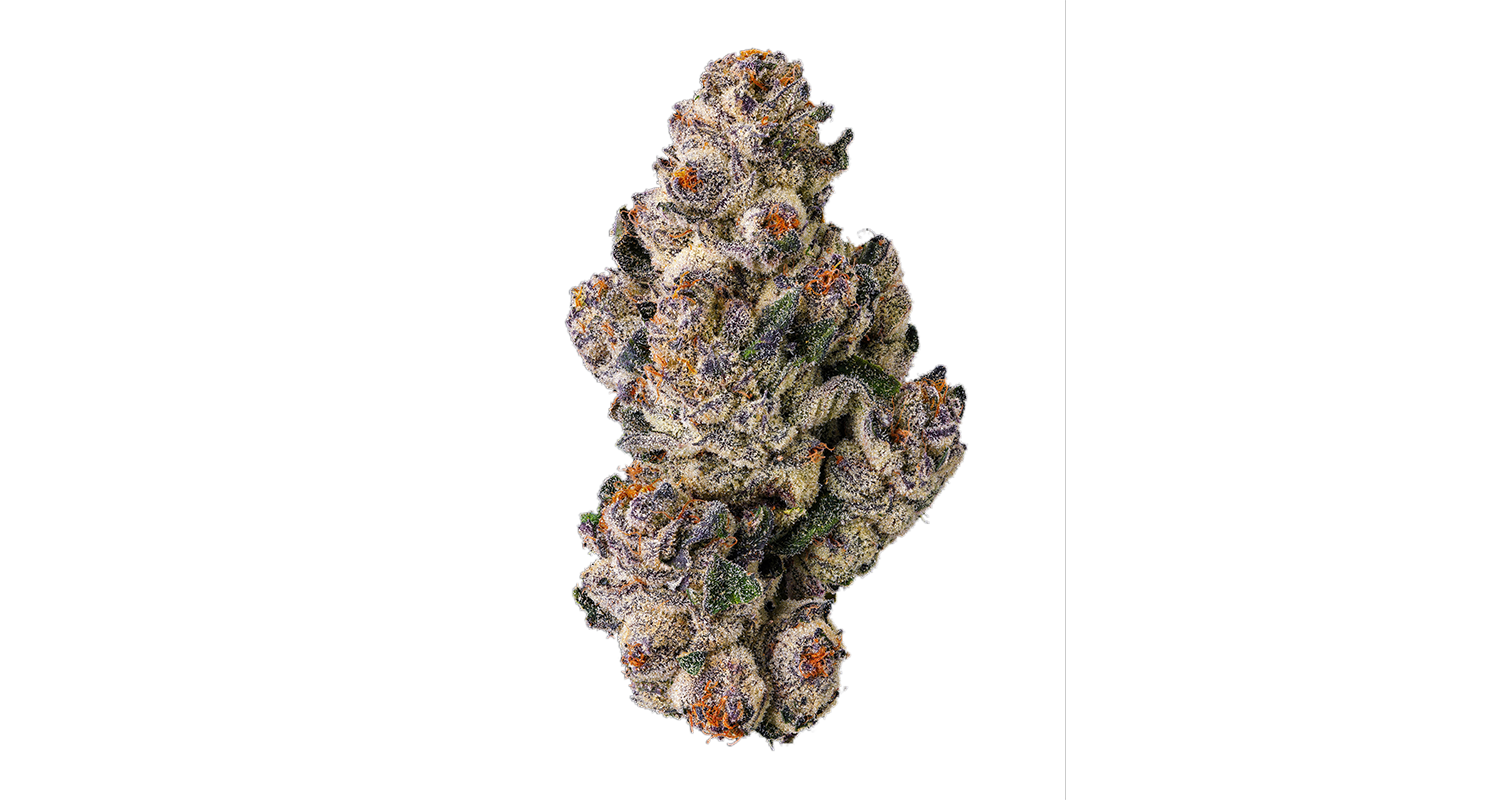 BlackLotus-MAINFullNUG-BlkTall-1500inset.png