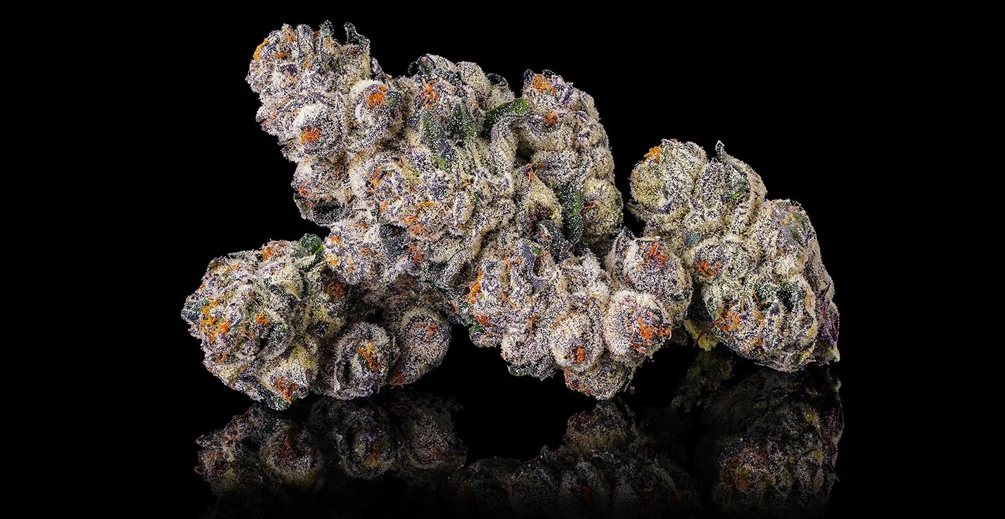 BLACK-LOTUS-TRIPLE-NUGS-BLK-TALL-26-1500inset.jpg