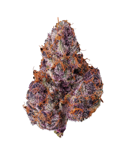 LemonCherryTrop-FULL-NUG-TRANS-iso500Menu.png