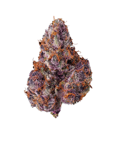 LEMON CHERRY TROPICANA