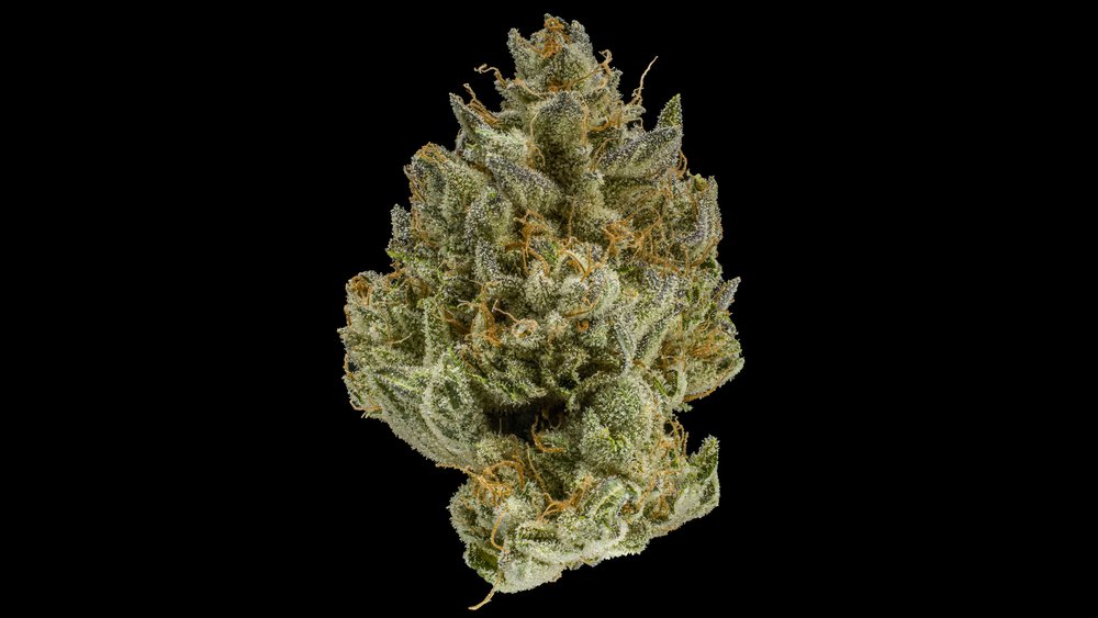 Is Purple Punch The Best Weed Strain Of 2020? Our Review