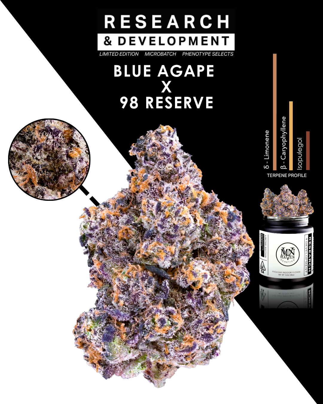 R&D Strains | Spring 2025 — MAVEN GENETICS