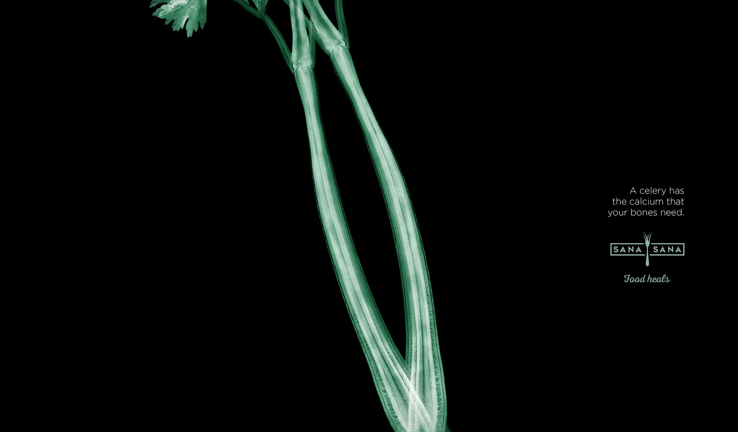 9cc09853010787.5924c00b04628.jpg