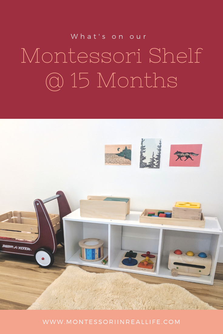 montessori toys for 15 month old