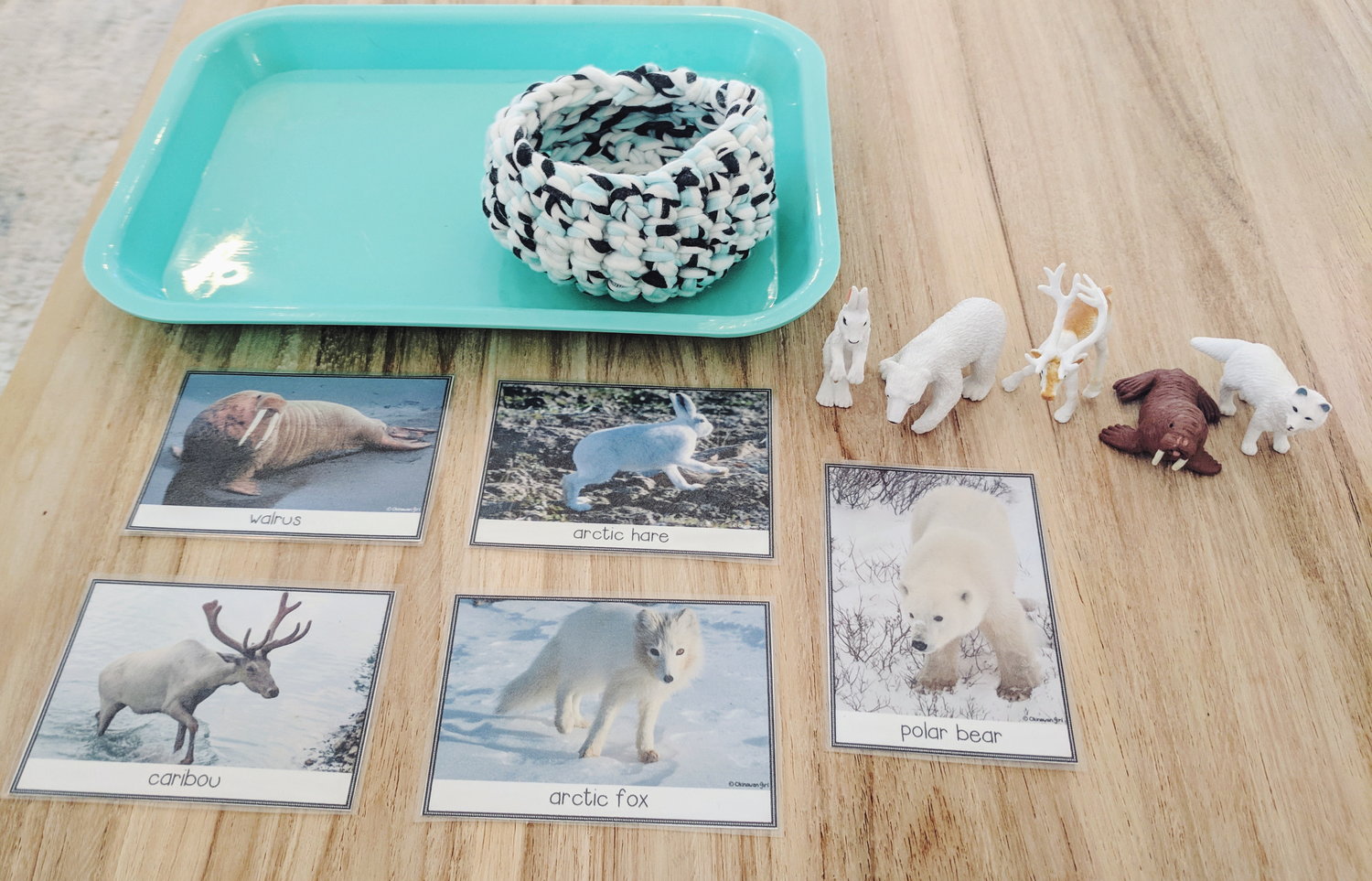 Introducing Themes - Arctic/Antarctic Animals — Montessori in Real