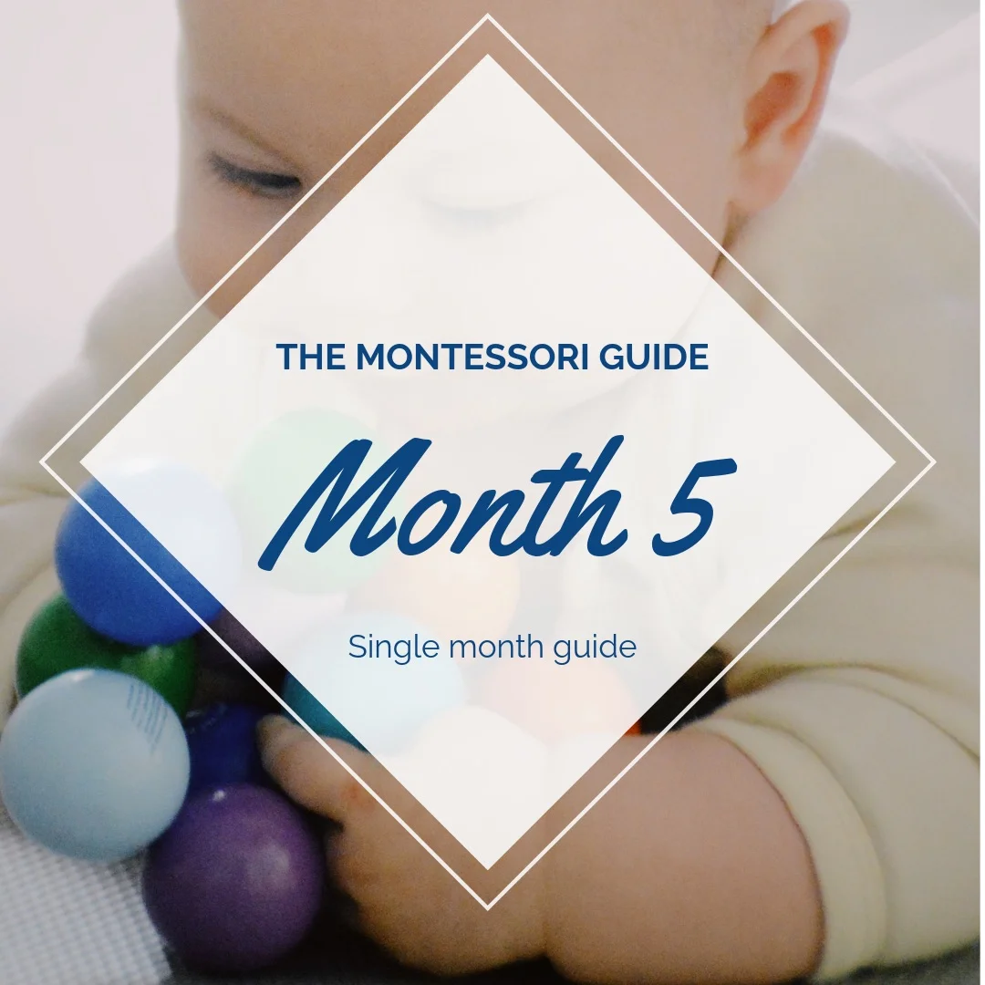 The Montessori Guide: Month 5 