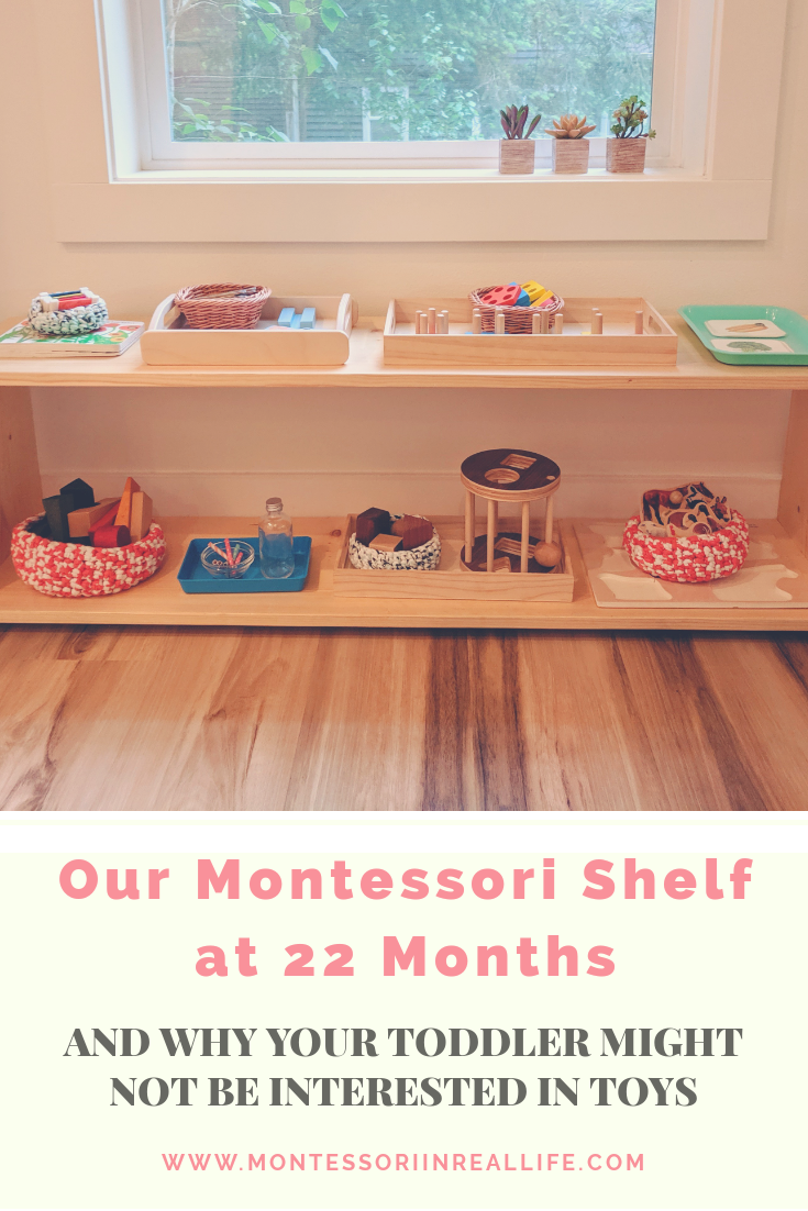 Montessori activities: Currently on our shelves - Gift of Curiosity
