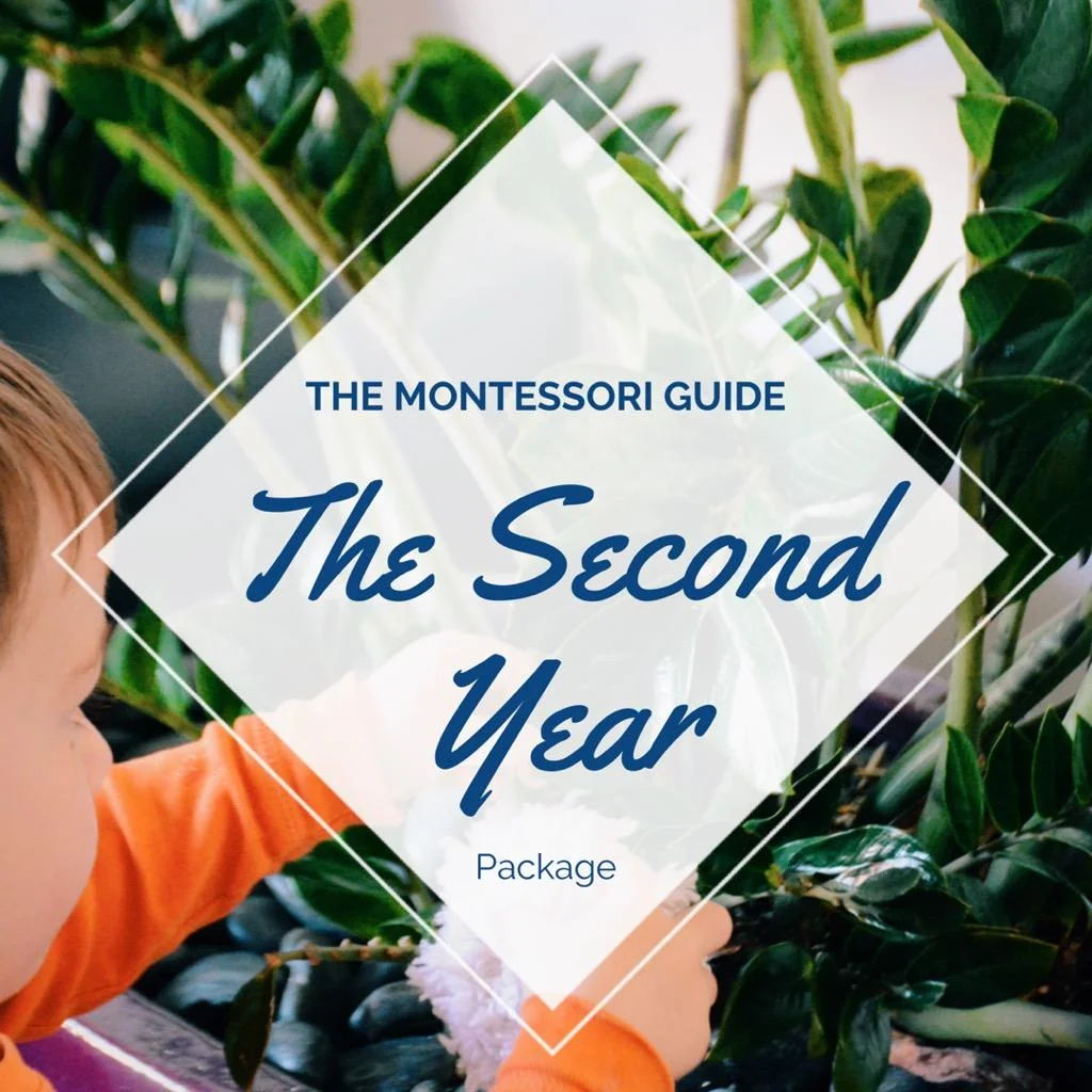 The Montessori Guide: The Second Year