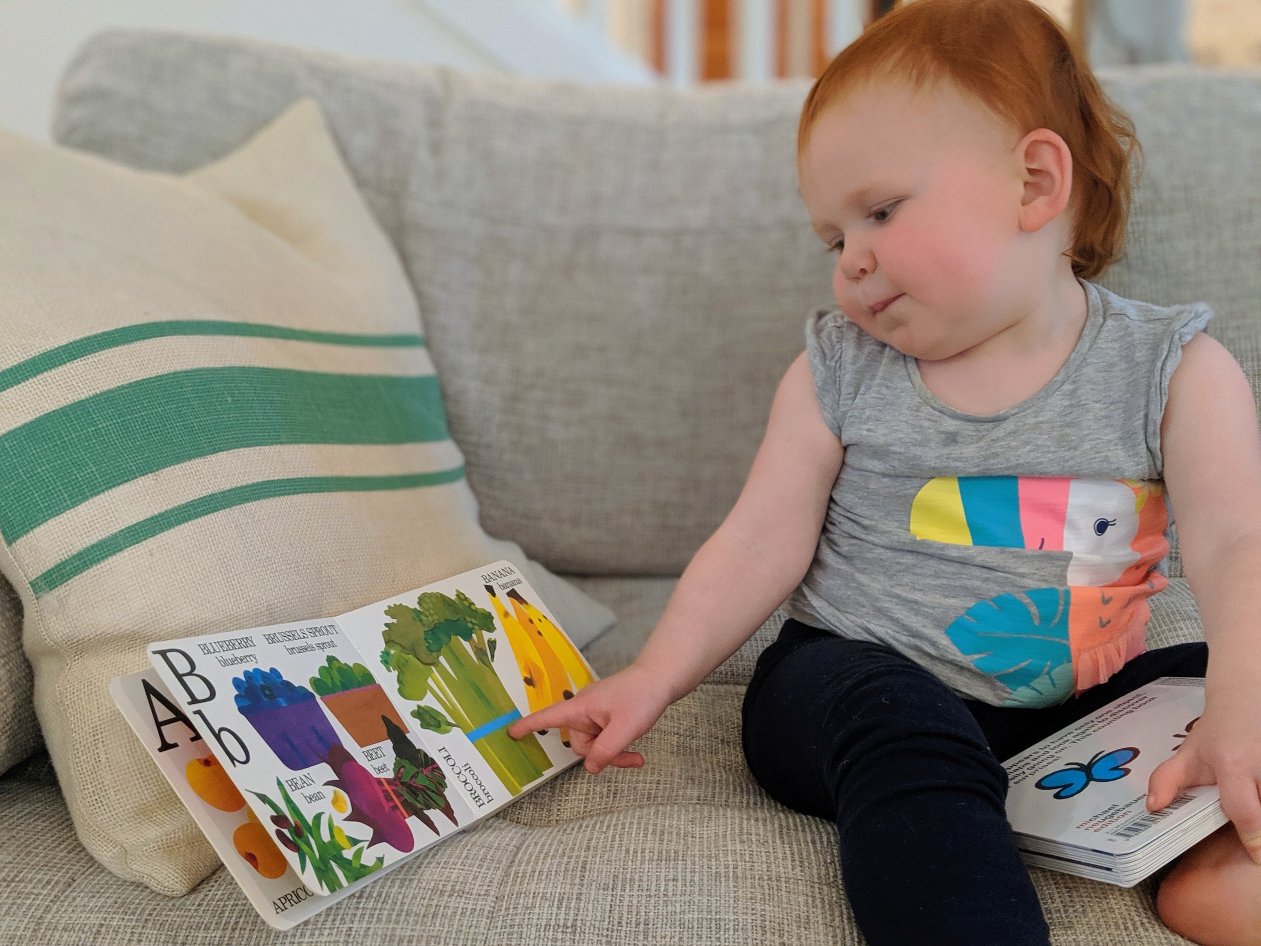 A Little Book About - Best Board Books for Babies and Toddlers