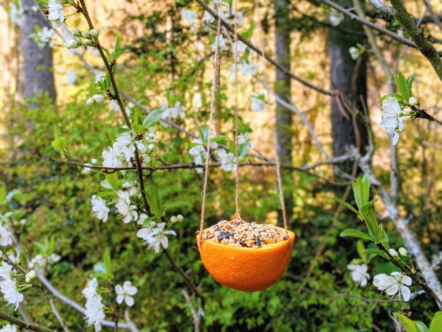Our Favorite Nature-Based Spring Activities — Montessori in Real Life