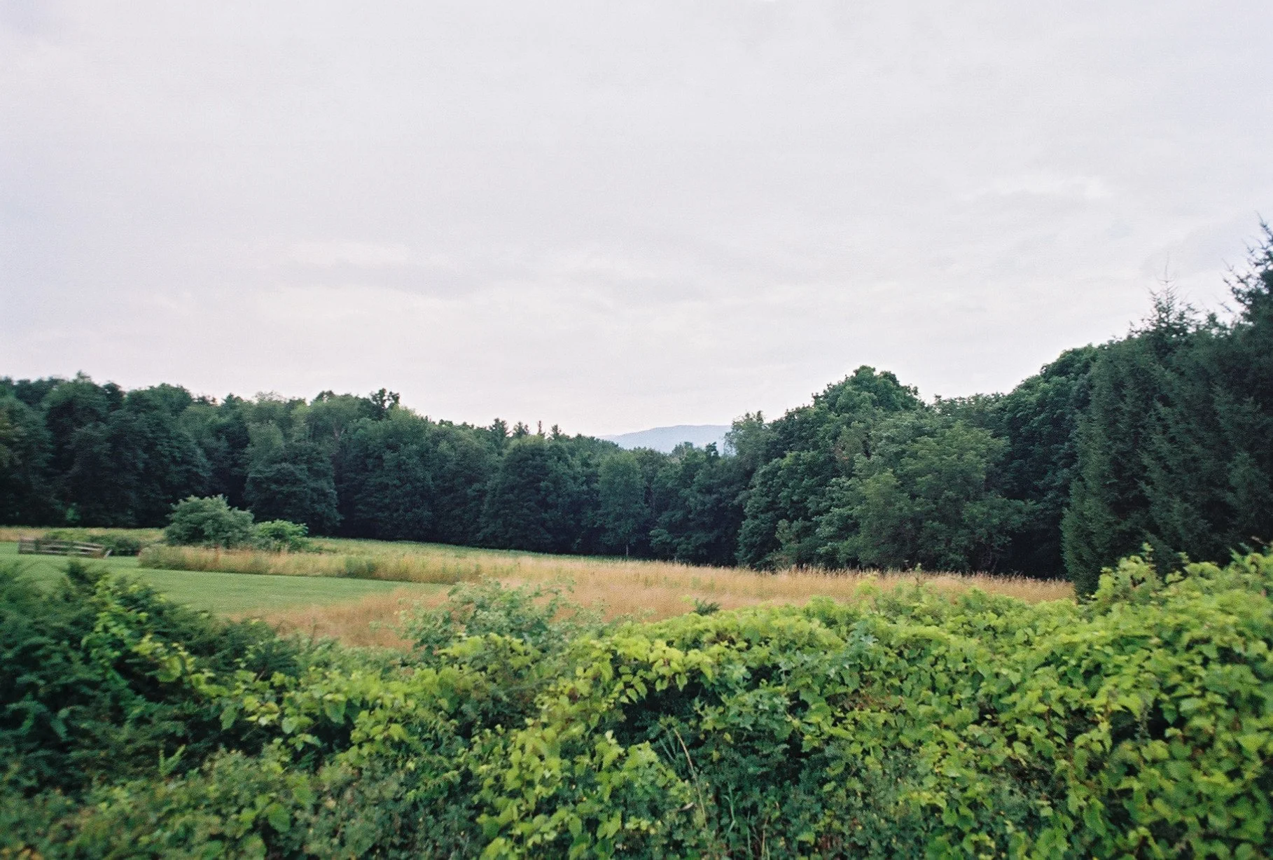 photographic print