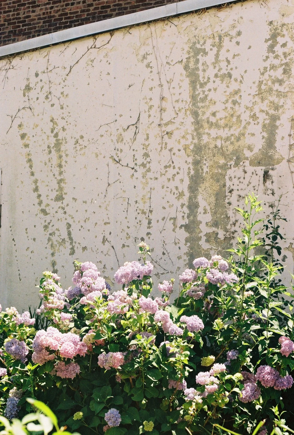 photographic print