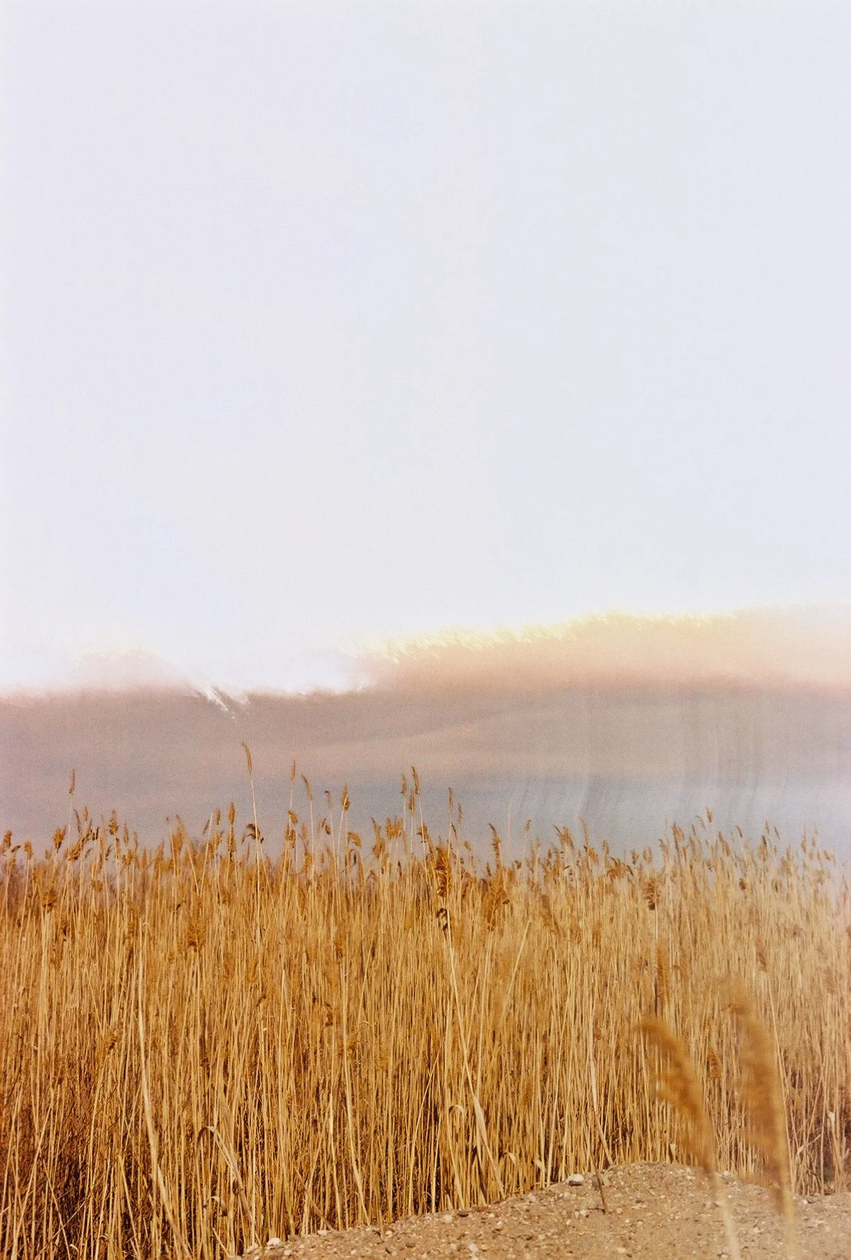 photographic print