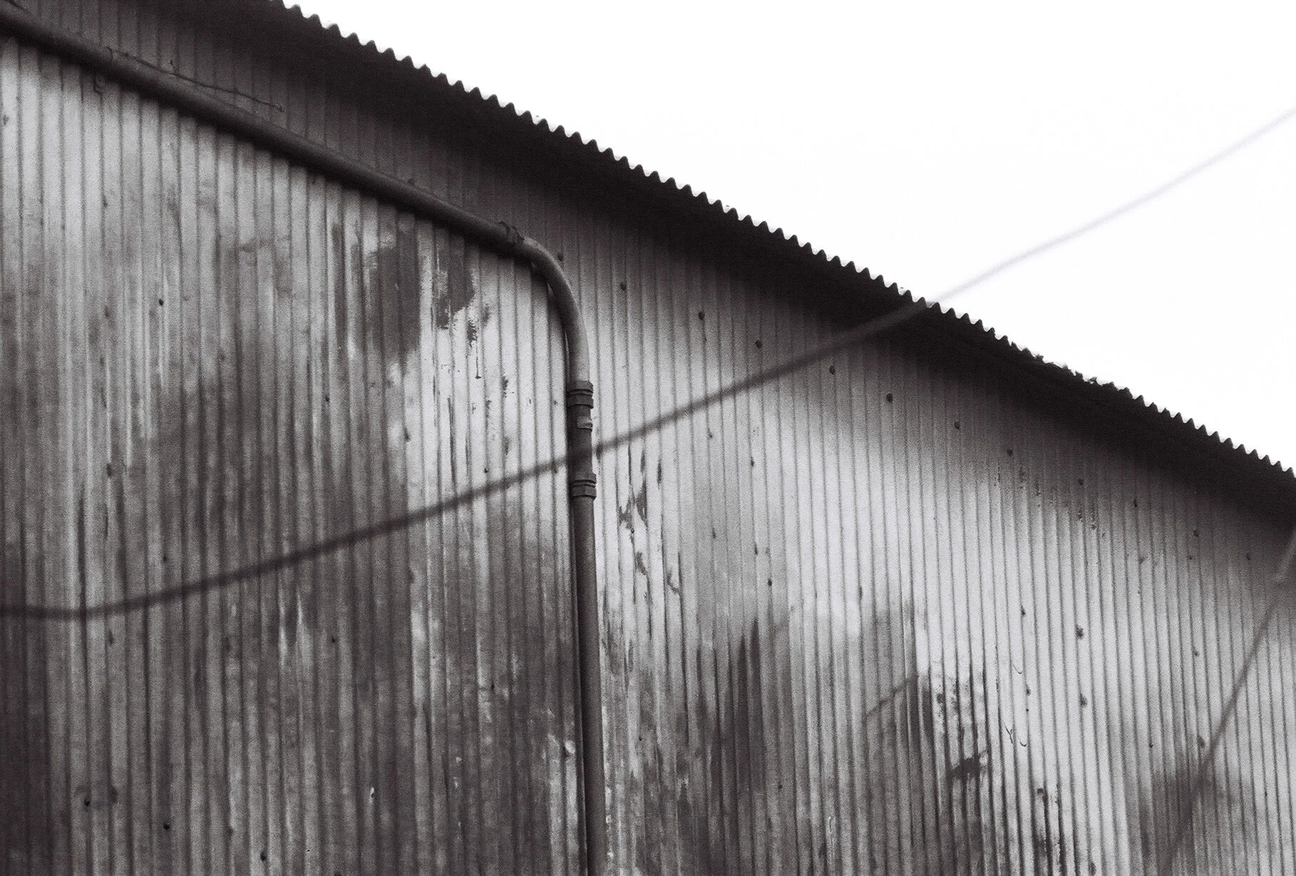 photographic print