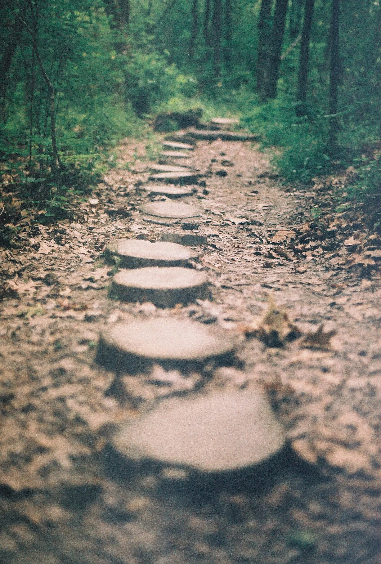 photographic print