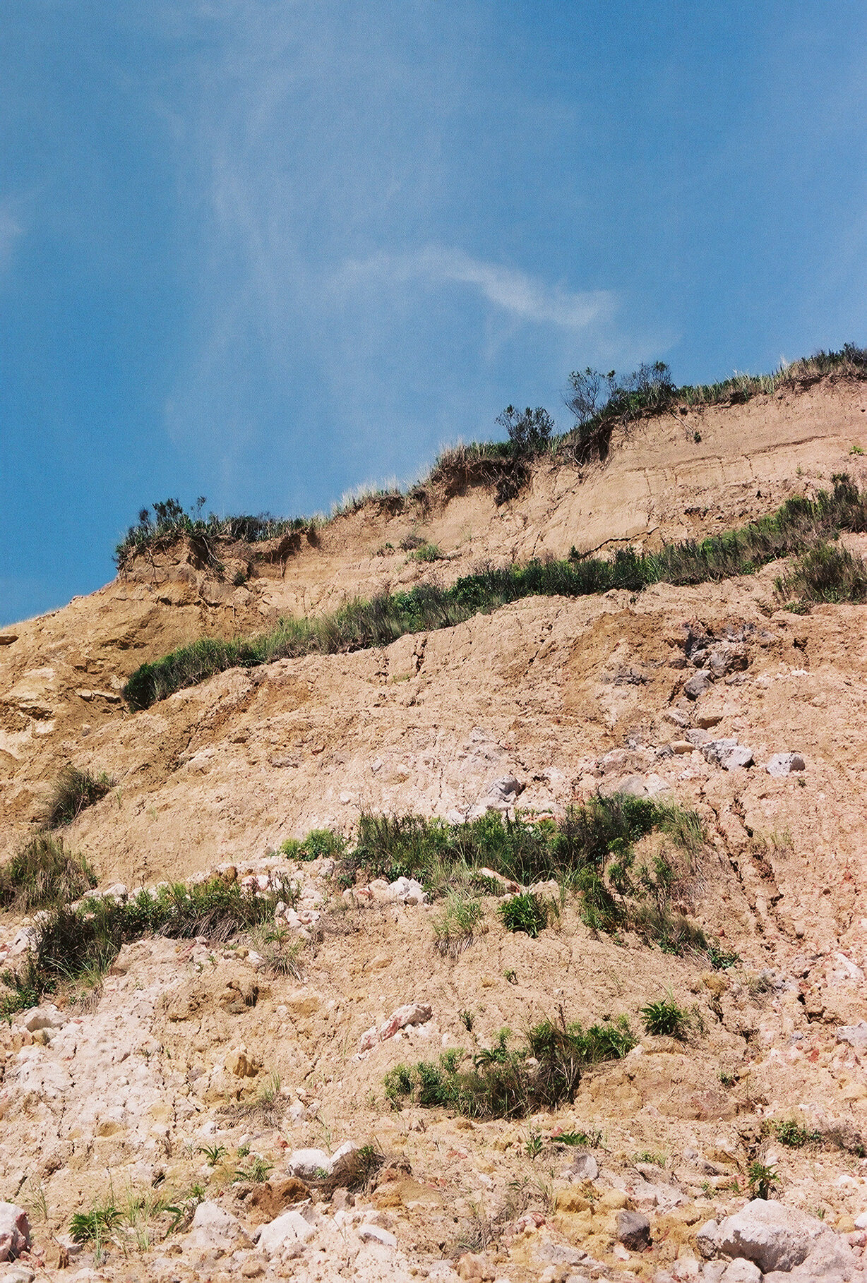 photographic print