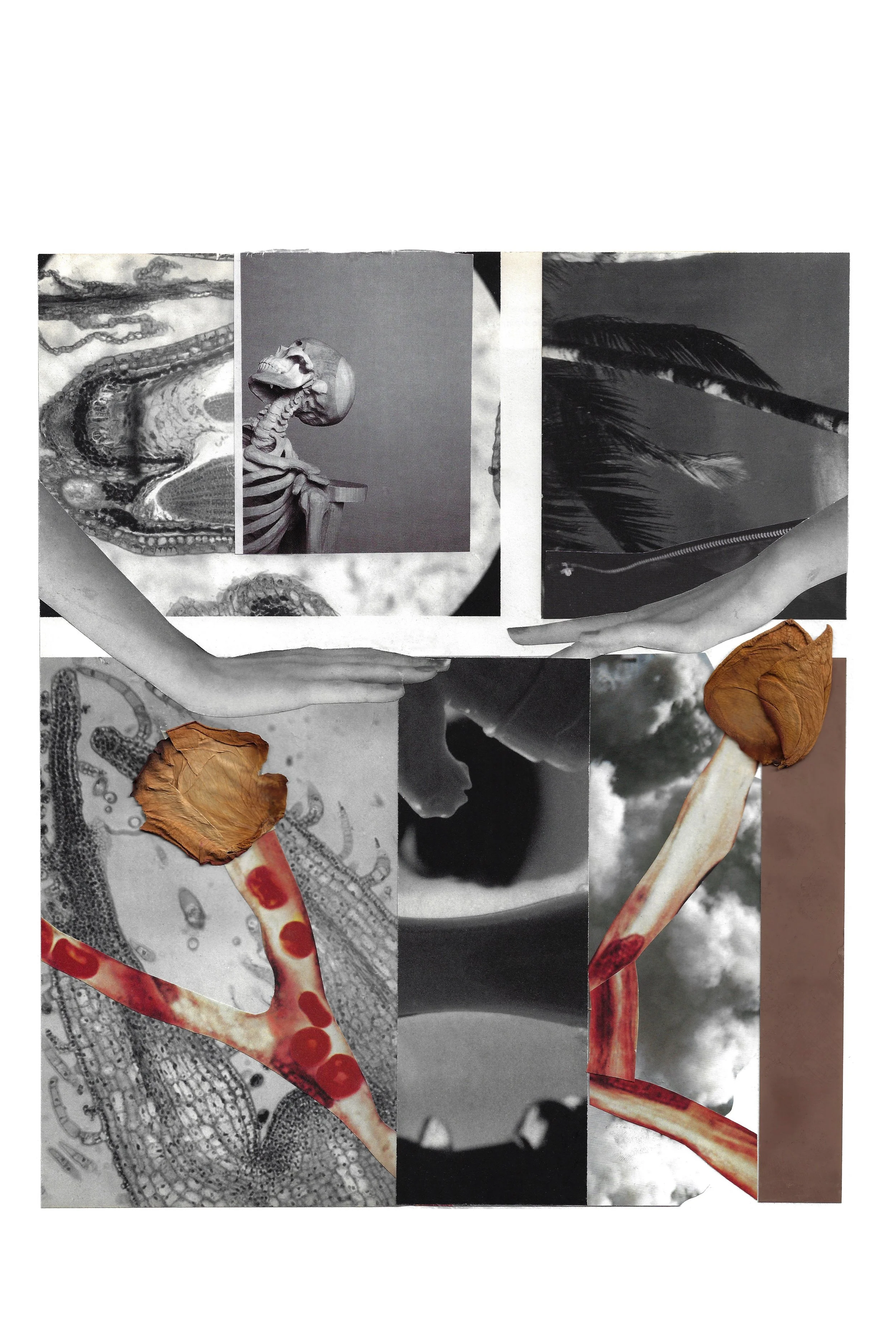 'Processing' collage print
