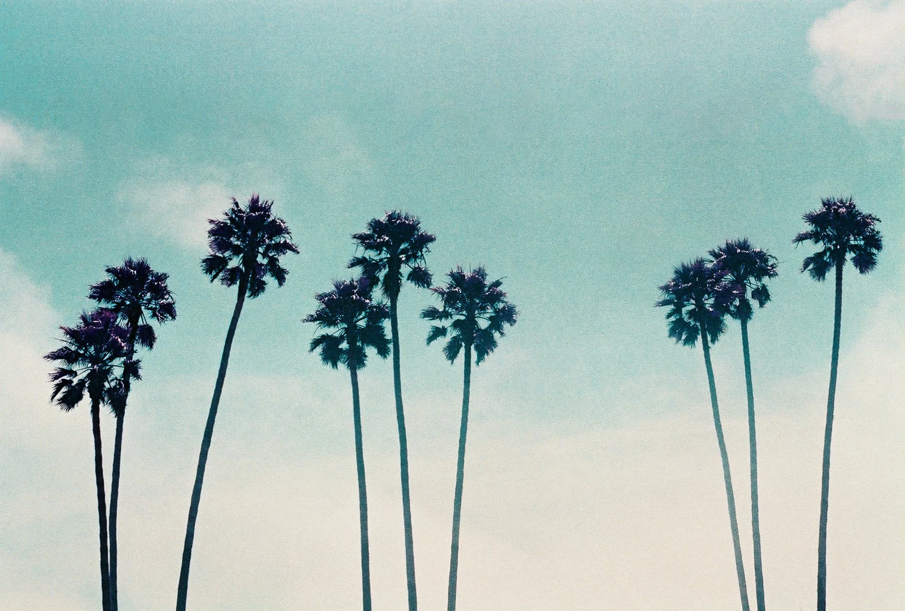 photographic print