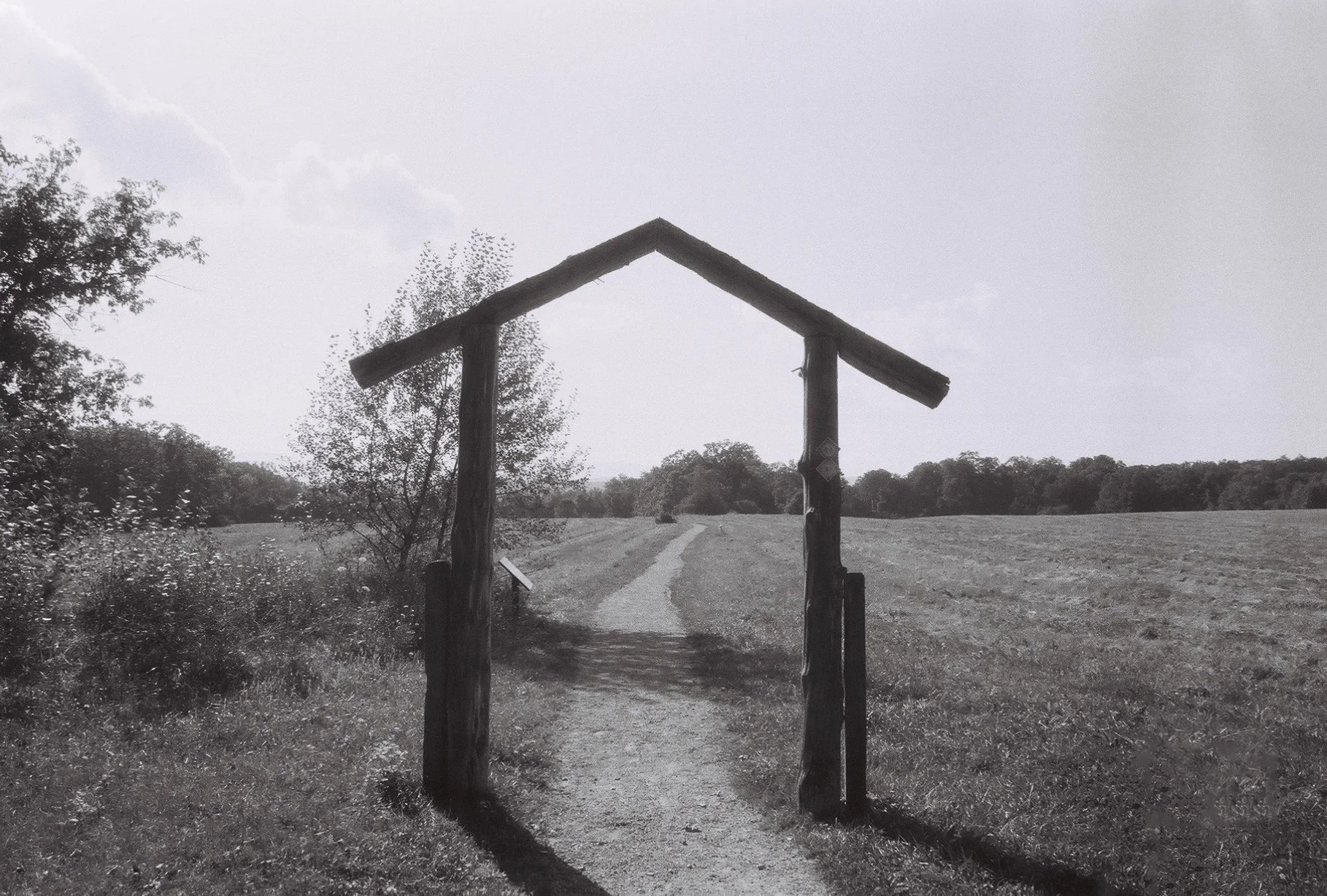 photographic print