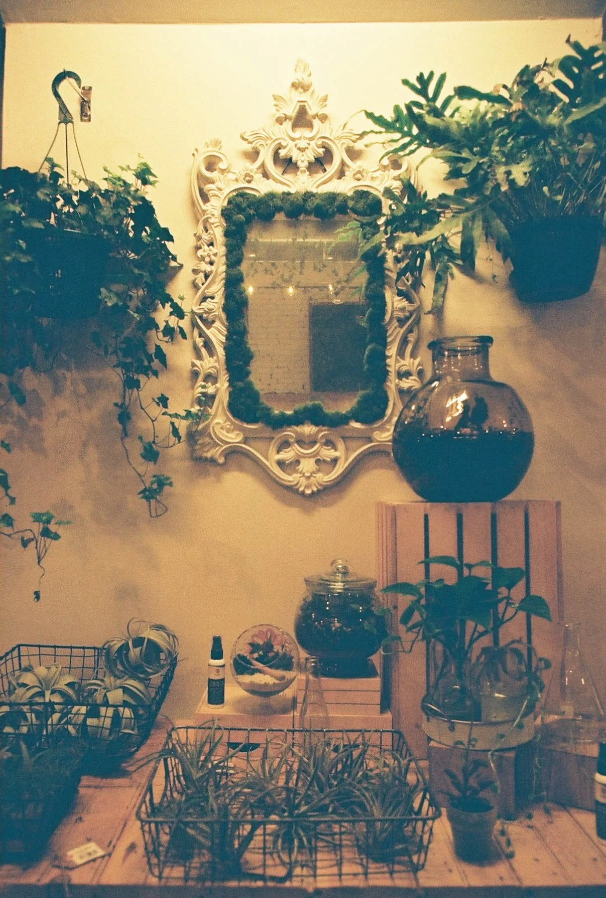 photographic print